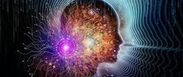 2617940